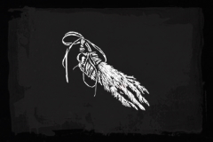 Fox Claw Trinket Icon