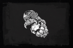 Lion's Paw Trinket Icon